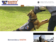 Tablet Screenshot of mastinseguridad.com